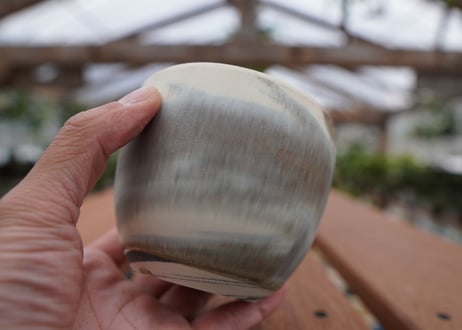 關まどか pot NO.30-3
