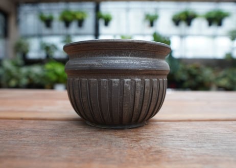 保田修作  pot No.13