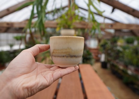 關まどか pot NO.1-6　F