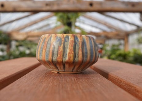 關まどか pot NO.23-1 F
