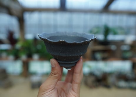 Muddy Punk pot No.5