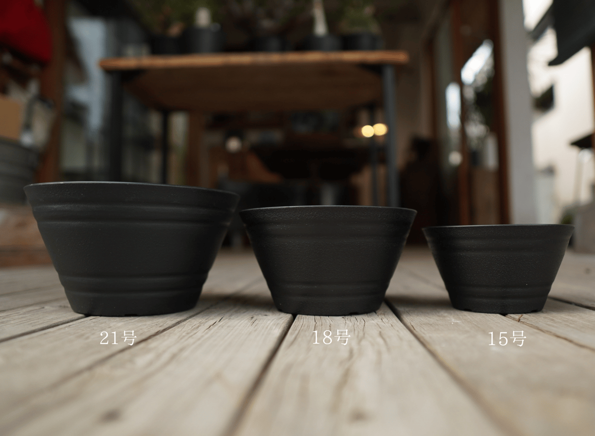 確認୨୧⑅*.アカシア2つ仕切り fit=scale-down,w=1200