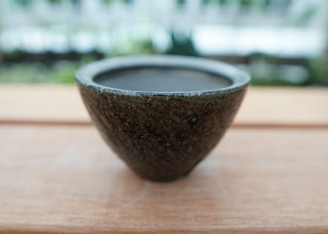 沼野秀章 pot No.6