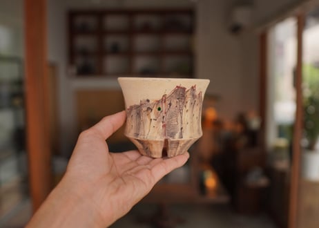 沼野秀章 pot No.36