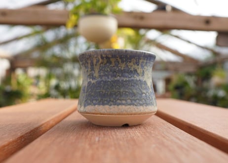 關まどか pot NO.7-6　Ｇ