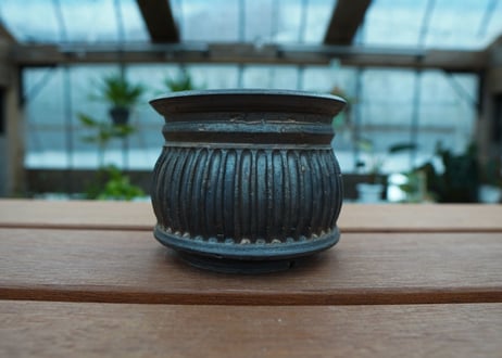 保田修作  pot No.64