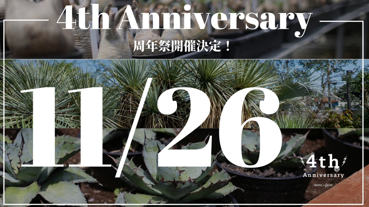 マナズファーム】4周年祭開催！ | mana's farm:塊根植物・アガベ