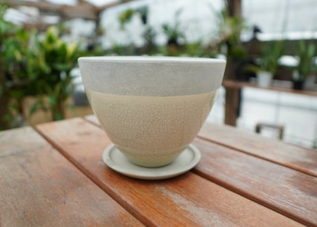 植木鉢　鉢皿付き　No.1