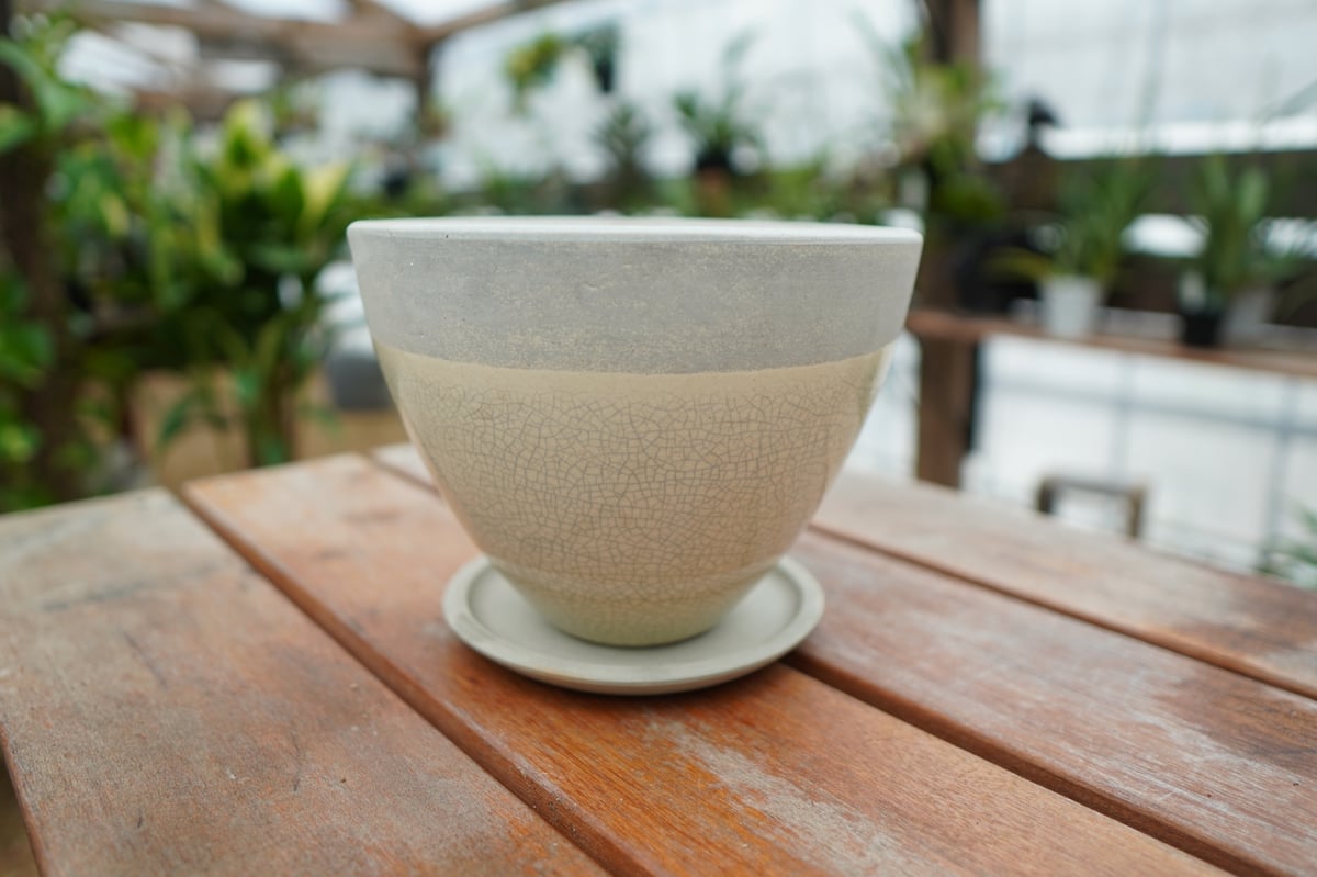 植木鉢 鉢皿付き No.1 | mana's farm:塊根植物・アガベ・ドライ