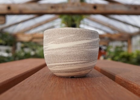 關まどか pot NO.22-7　Ｇ
