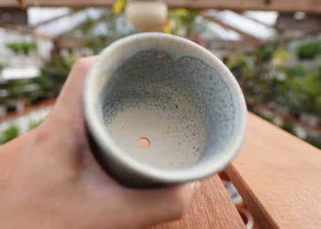 關まどか pot NO.5-4　Ｇ