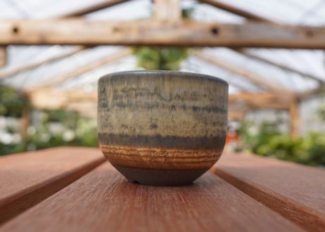 關まどか pot NO.14-1　F