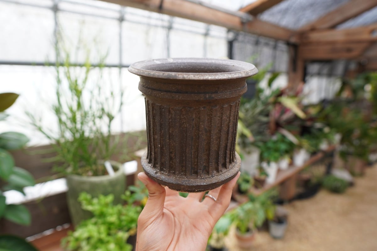 保田修作 pot No.28 | mana's farm:塊根植物・アガベ・ドライガーデン植
