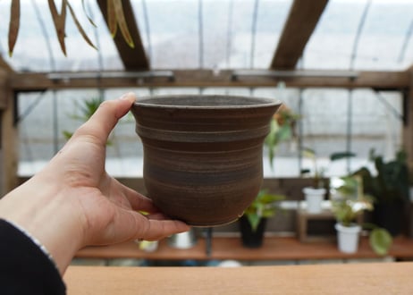 保田修作  pot No.36
