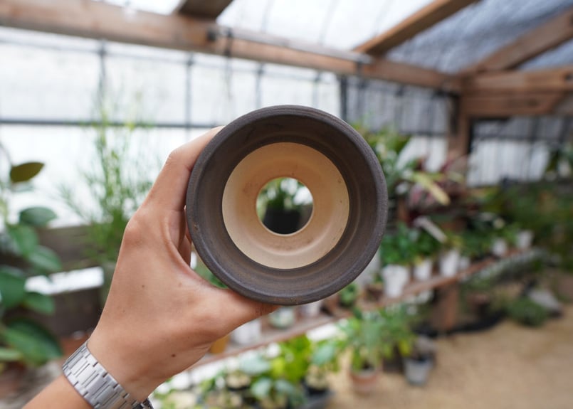 保田修作 pot No.1 | mana's farm:塊根植物・アガベ・ドライガーデン