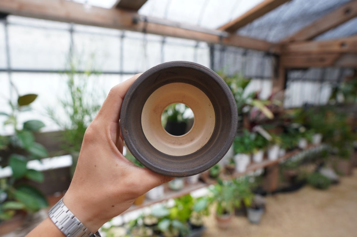 保田修作 pot No.1 | mana's farm:塊根植物・アガベ・ドライガーデン