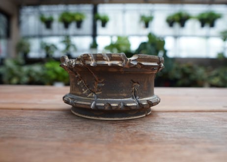 保田修作  pot No.15