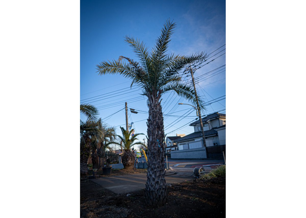 fit=scale-down,w=1200