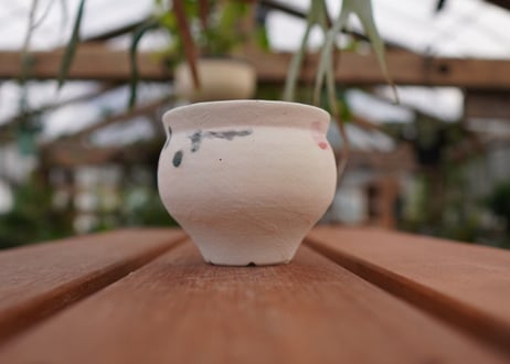 持木祐一pot NO.9