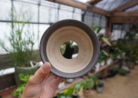 保田修作  pot No.22