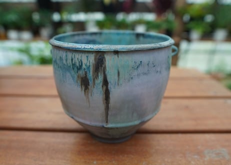 神田知広pot No.22
