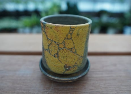 hechicami pot NO.19