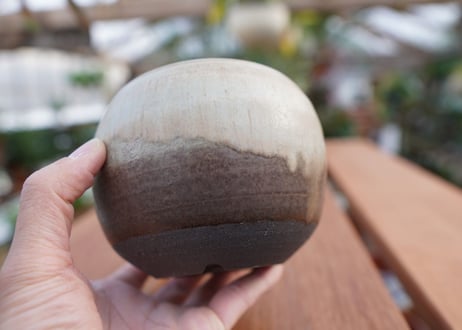 關まどか pot NO.8-1 F