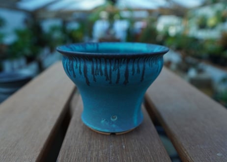 持木祐一 pot  No.28