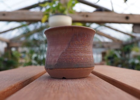 關まどか pot NO.10-5　Ｇ