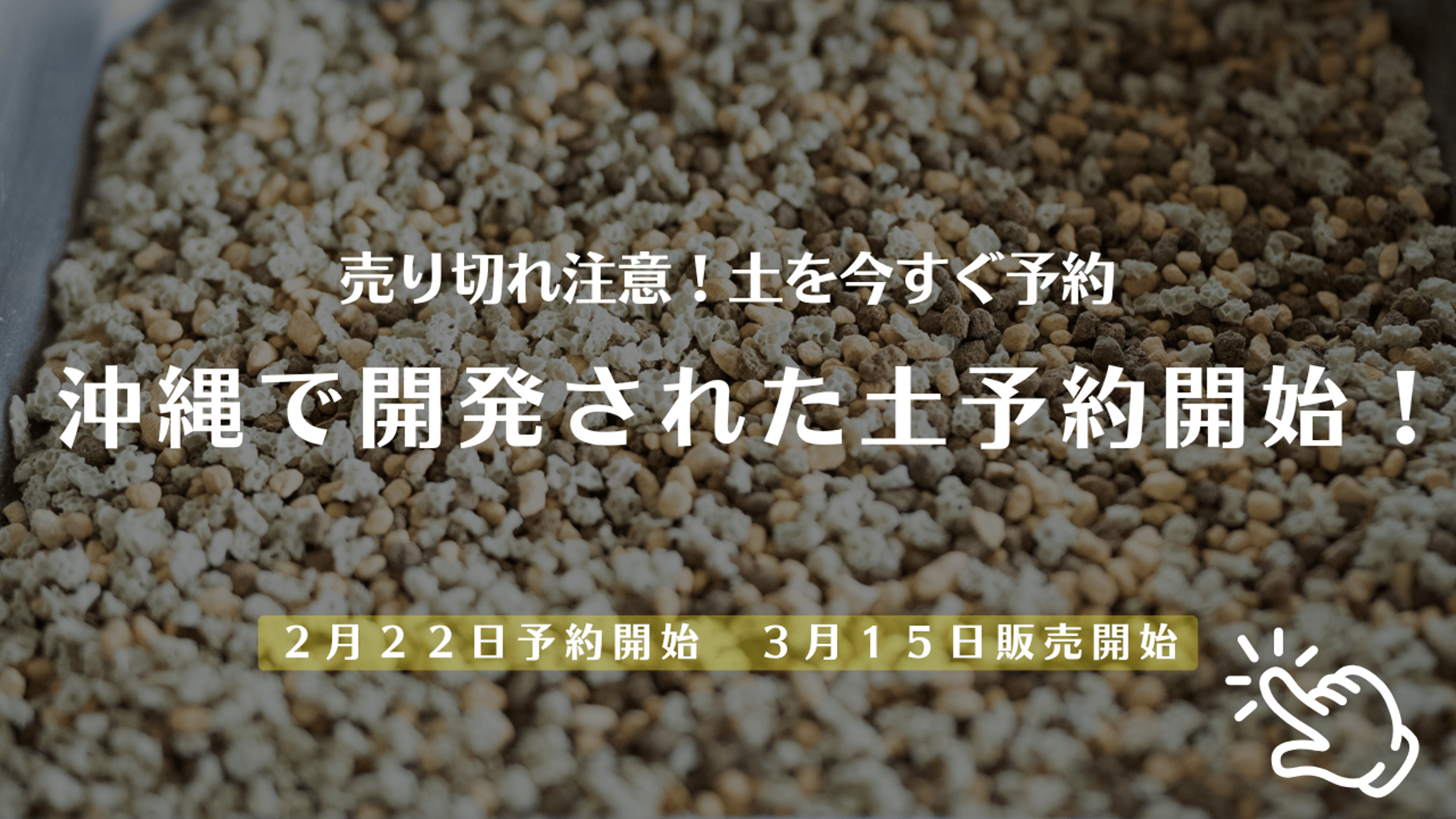 mana's green:塊根植物販売|マナズグリーン mana's green:塊根植物販売|マナズグリーン