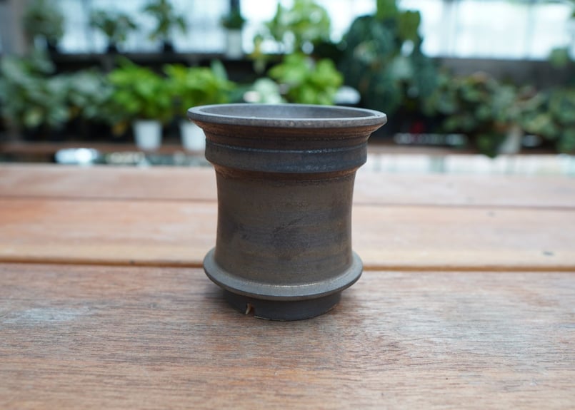 保田修作 pot No.1 | mana's farm:塊根植物・アガベ・ドライガーデン