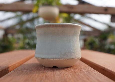 關まどか pot NO.5-8　Ｇ