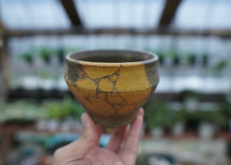 hechicami pot NO.15