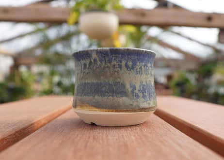 關まどか pot NO.7-4　F