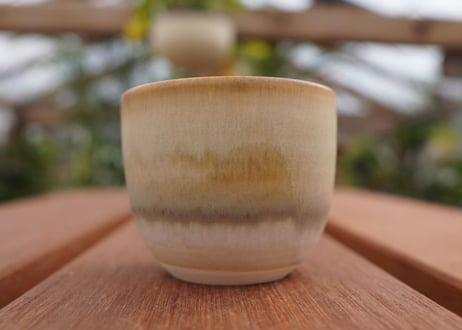 關まどか pot NO.1-6　F