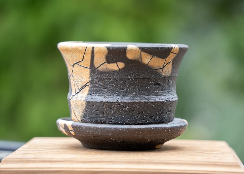 hechicami No.4 | mana's farm:塊根植物・アガベ・ドライガーデン植物