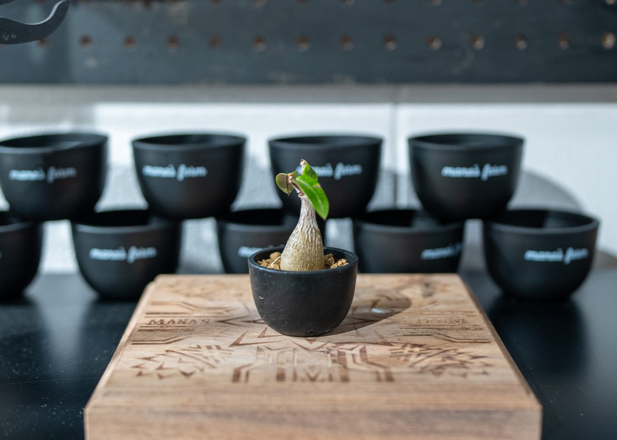 NEIGHBORHOOD SRL . ROUND / P-PLANT POT M