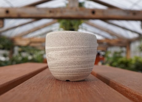 關まどか pot NO.22-3 F