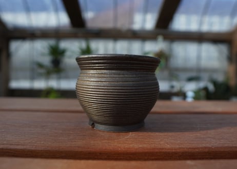 保田修作  pot No.6
