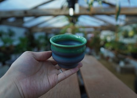 持木祐一 pot  No.46
