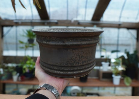 保田修作  pot No.75