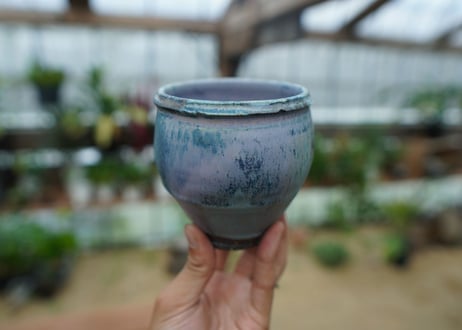 神田知広pot No.6