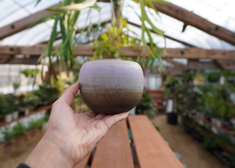 關まどか pot NO.9-1 F
