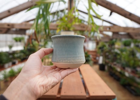 關まどか pot NO.5-4　Ｇ