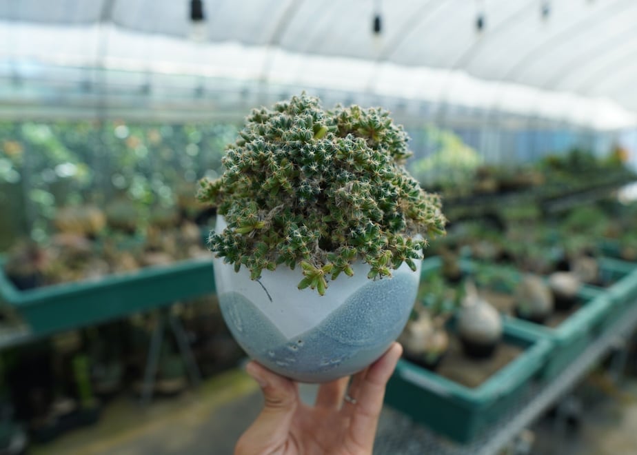 64f1a96b9b4c1900297e5c02