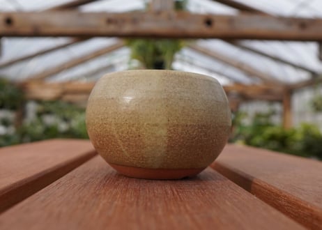 關まどか pot NO.26-1　Ｇ