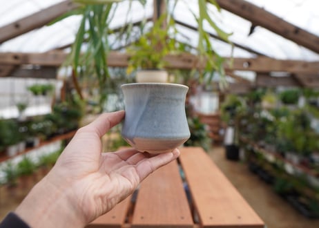 關まどか pot NO.5-14　F
