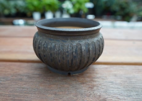 保田修作  pot No.16