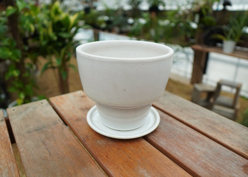 食器　まとめ売り ナチュラルパルプ 食器セット 100人分| 防災グッズ特集 | 【ミドリ