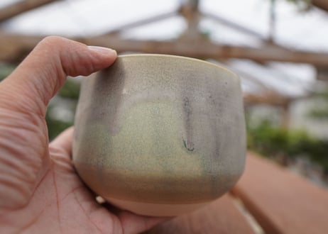 關まどか pot NO.28-2　F